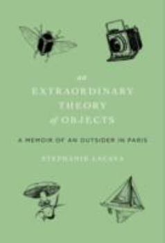 Paperback An Extraordinary Theory of Objects Book