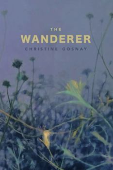 Paperback The Wanderer Book