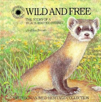 Hardcover Wild and Free: The Story of a Black-Footed Ferret Book