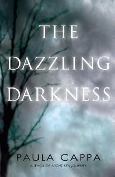 Paperback The Dazzling Darkness Book