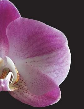 Paperback Orchid Notebook Large Size 8.5 x 11 Ruled 150 Pages Book