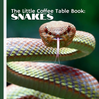 The Little Coffee Table Book: Snakes: 75 intriguing facts about one of nature’s most misunderstood creatures—snakes.