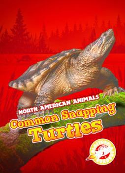 Library Binding Common Snapping Turtles Book