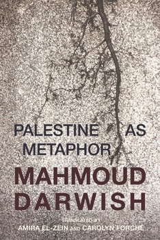 Paperback Palestine as Metaphor Book