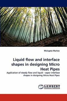 Paperback Liquid Flow and Interface Shapes in Designing Micro Heat Pipes Book