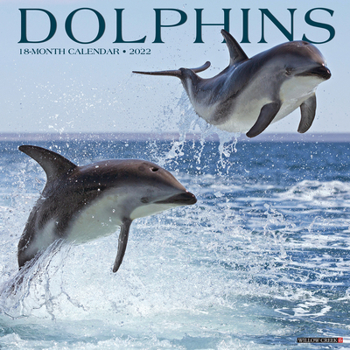 Calendar Dolphins 2022 Wall Calendar Book