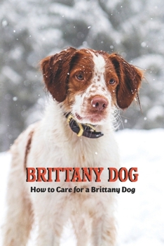 Paperback Brittany Dog: How to Care for a Brittany Dog Book