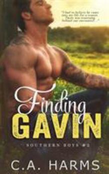 Paperback Finding Gavin Book