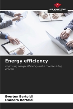 Paperback Energy efficiency Book
