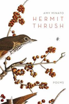 Paperback Hermit Thrush Book
