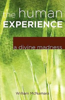 Paperback The Human Experience: A Divine Madness Book