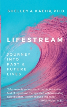 Paperback Lifestream: Journey Into Past & Future Lives [Large Print] Book