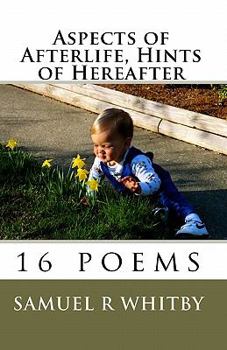 Paperback Aspects of Afterlife, Hints of Hereafter Book