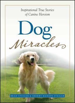 Paperback Dog Miracles: Inspirational True Stories of Canine Heroism Book