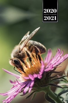 Bee Insects Beekeeping Beekeeper Week Planner Weekly Organizer Calendar 2020 / 2021 - Purple Flower: Cute Wildlife Animal Pet Bullet Journal Notebook Diary in 6” x 9” Inch Pocket Size