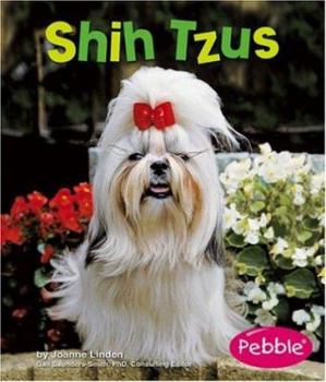 Shih Tzus - Book  of the Dogs Library