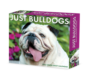 Product Bundle Bulldogs 2024 6.2 X 5.4 Box Calendar Book