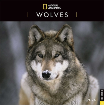 Calendar National Geographic: Wolves 2024 Wall Calendar Book