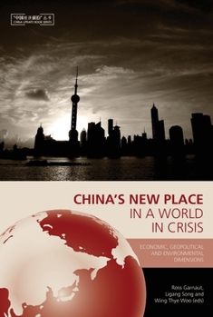 Paperback China's New Place in a World in Crisis: Economic, Geopolitical and Environmental Dimensions Book