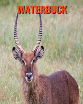 Waterbuck: Amazing Facts about Waterbuck