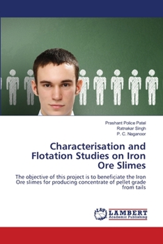 Paperback Characterisation and Flotation Studies on Iron Ore Slimes Book
