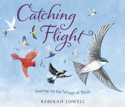 Unknown Binding Catching Flight: Finding Our Way on the Wings of Birds Book