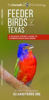 Paperback Feeder Birds of Texas: A Folding Pocket Guide to Common Backyard Birds Book