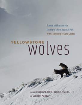 Hardcover Yellowstone Wolves: Science and Discovery in the World's First National Park Book