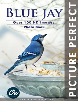 Paperback Blue Jay: Picture Perfect Photo Book