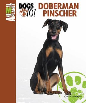 Doberman Pinscher Animal Planet: Dogs 101 - Book  of the Animal Planet Dogs 101