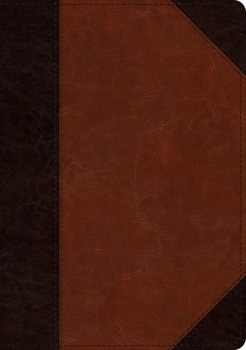 Imitation Leather ESV Large Print Wide Margin Bible (Trutone, Brown/Cordovan, Portfolio Design) [Large Print] Book