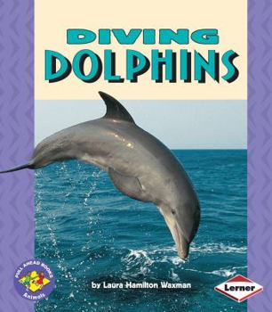 Paperback Diving Dolphins Book