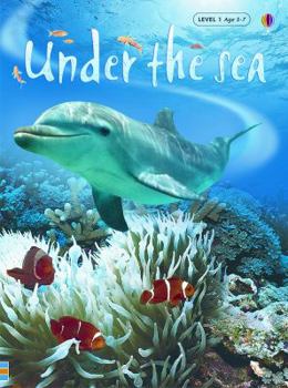 Hardcover Under the Sea Book
