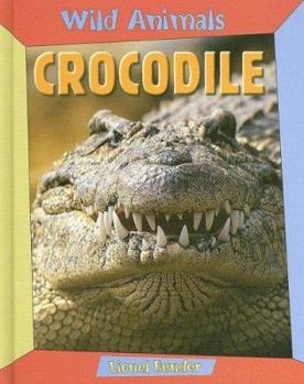 Library Binding Crocodile Book