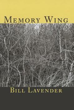 Paperback Memory Wing Book