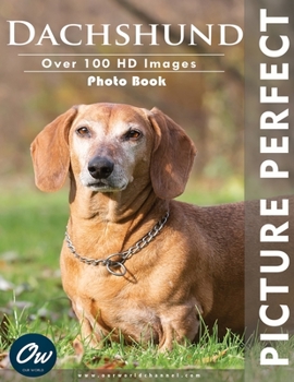 Paperback Dachshund: Picture Perfect Photo Book