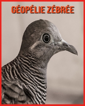 G?op?lie Z?br?e: Recueil d'Informations Amusantes pour Enfants & Photos Etonnantes