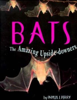 Hardcover Bats: The Amazing Upside-Downers Book