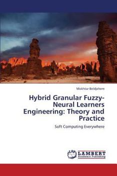 Paperback Hybrid Granular Fuzzy-Neural Learners Engineering: Theory and Practice Book