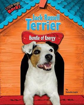 Library Binding Jack Russell Terrier: Bundle of Energy Book