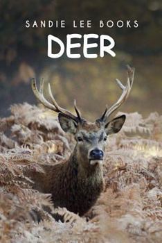 Paperback Deer - Sandie Lee Books Book