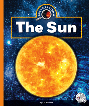 Library Binding The Sun Book