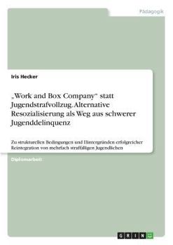 Paperback "Work and Box Company" statt Jugendstrafvollzug. Alternative Resozialisierung als Weg aus schwerer Jugenddelinquenz: Zu strukturellen Bedingungen und [German] Book