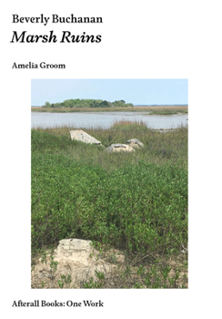 Paperback Beverly Buchanan: Marsh Ruins Book