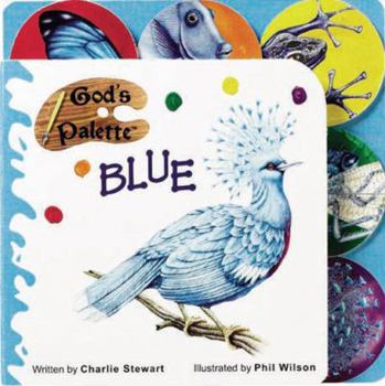 Board book Blue Book