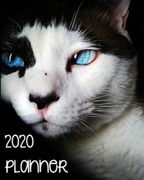 2020 Weekly Planner: The Ultimate Weekly Planner 8x10 136 pages just for Cat Lovers!