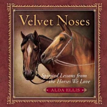 Hardcover Velvet Noses: Spirited Lessons from the Horses We Love Book