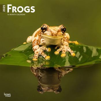 Calendar Frogs 2025 12 X 24 Inch Monthly Square Wall Calendar Plastic-Free Book