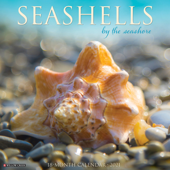 Calendar Seashells 2021 Wall Calendar Book