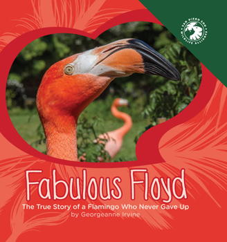 Hardcover Fabulous Floyd: The True Story of a Flamingo Who Never Gave Up Book